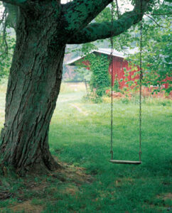 Cleanly Colonial: Renovating a 20th-Century Farmhouse, Toxin Free Image